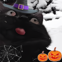 avatar Maximus_Magnus