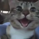 mateomars