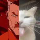 wokexha