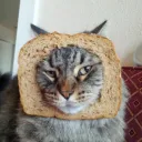 super_toastt