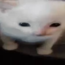 avatar ᲼᲼᲼Yinn