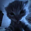 avatar Eᥒtᥴhᥱᥒ