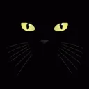 !                        ⱤⱮ