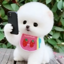 avatar emaster kurtellinq