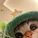 Avatar de miuwithcoffee