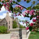 ccadmission