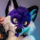 kodagotosleep
