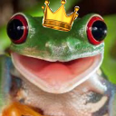 praiseafrogtoday