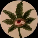 phytocannabinoide