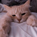 sarcastic_pussy