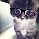 avatar _._andraaa_._