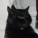 Аватар ritoom228