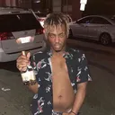 vlmilo