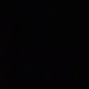 nobodycare1