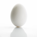 EggBot