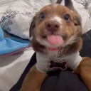 avatar 𝐆𝐚𝐛𝐫𝐢𝐞𝐥𝐚𝐚𝐡𝐡𝐡