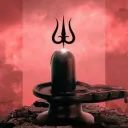 dng.god