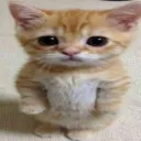 iztyy6752