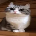 Аватар draken6183