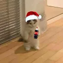 notfoxy