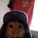 xshinyx avatar