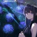 risa.amane