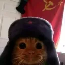 fenjyy_