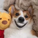 .kajmil