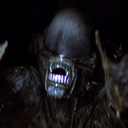 avatar BucketCrusader