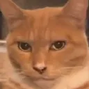 danmix