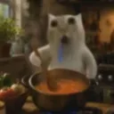 startmeow