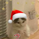 avatar 💜 King Boo 💜