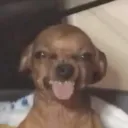 .dqxssss