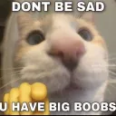 xox2