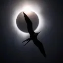 thecrowcoven