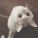 fullorempty
