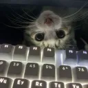 derkthedev