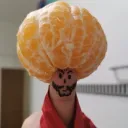 cnfloryda