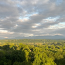 filthvic#0700's avatar