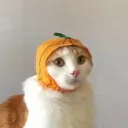 benslv