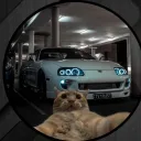 roar0305