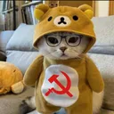 angrycatcommunist