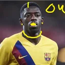 molgol.