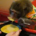 soupman100