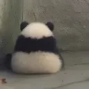 rezimbgst