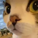 karrotvonbun