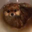 dissolvinginhydrochloricacid