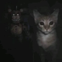 avatar ⋆⁺₊ vin / solace✦