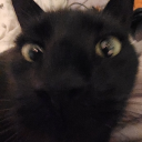 avatar ⋆⁺₊ vin • bassie ✦