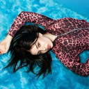 avatar 𝓢aphir ⋆𐙚 ̊.